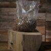 Økologisk Kornmycelium (Grain Spawn) – Til Svampedyrkning